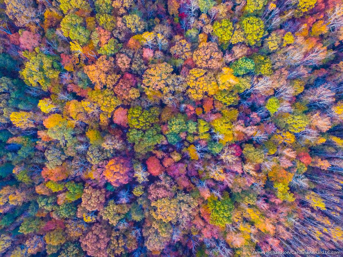 TouchpointChs tweet media