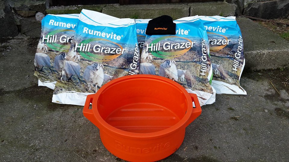 Rumenco_ltd's tweet photo. Our lucky Facebook Competition Winner Gruffydd Williams is pleased to have received his #Rumevite Prize! #WinnerWinnerRumeviteDinner #sheep365 https://t.co/pn0sfwp8RN