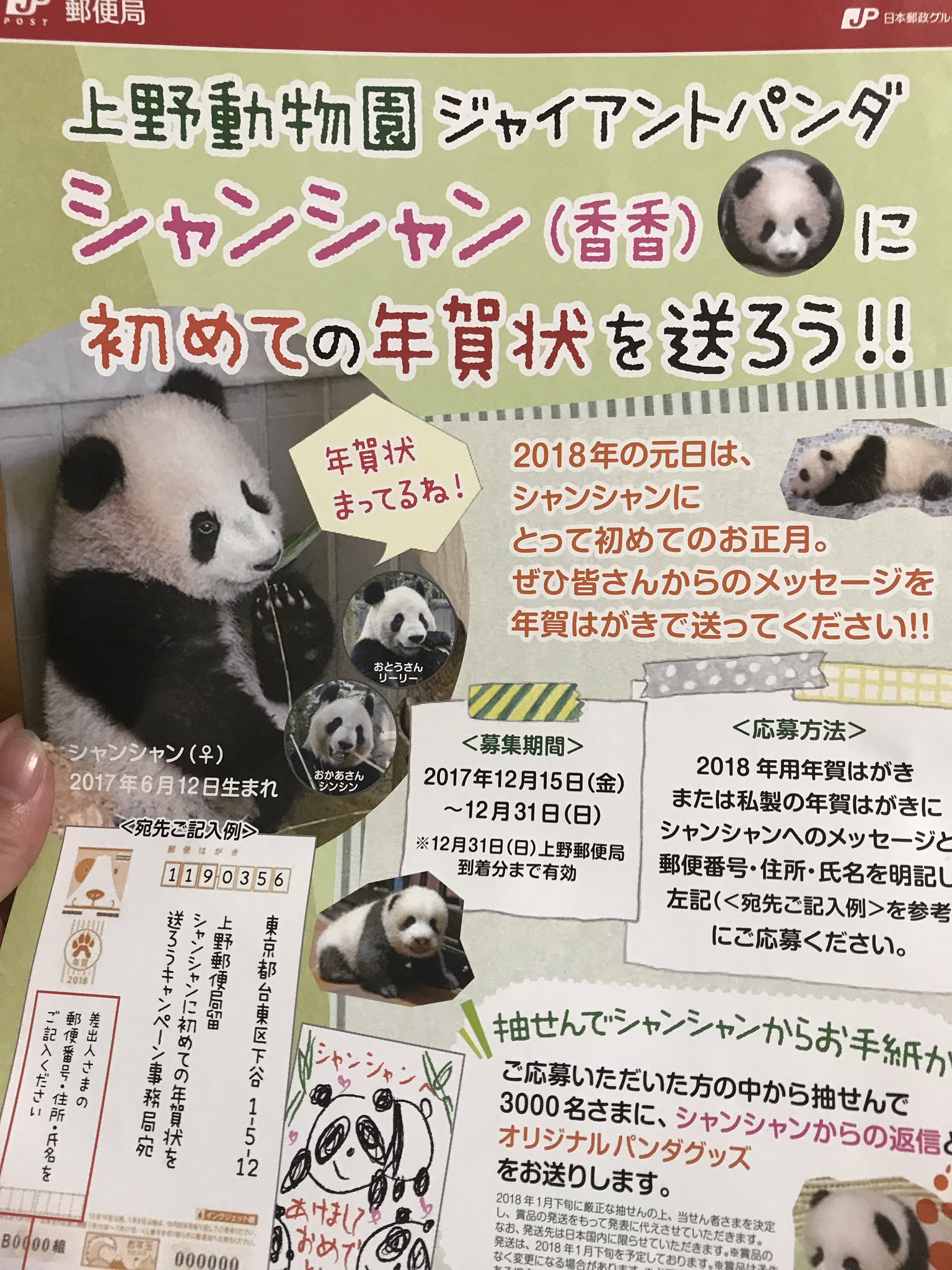 キイ おお そうやって釣るんですねー どうせ当たらないよ シャンシャン名前当選したのに グッズ当たらなかったもん シャンシャン 香香 上野動物園 郵便局 年賀状 シャンシャンに初めての年賀状を送ろうキャンペーン T Co Fbd62oxiyn