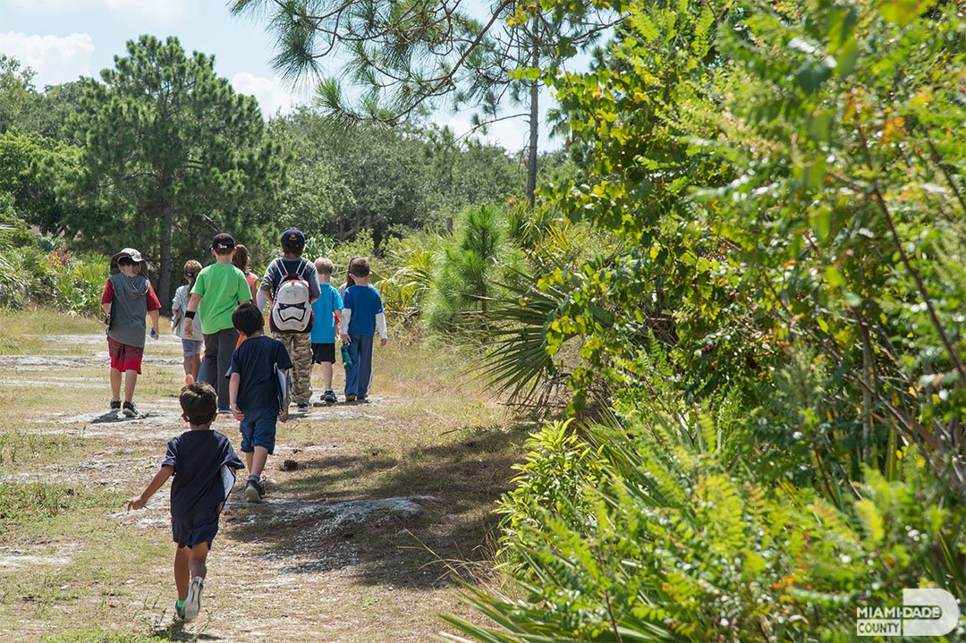 MiamiDadeCounty's tweet photo. Winter break is around the corner and @MiamiDadeParks has an array of Winter Camps that may interest your child. Calling all nature and zoo lovers, sports enthusiasts, and aspiring artists and performers - #OurCounty has a camp for that! More info: https://t.co/RQ2445E8YU https://t.co/N02wicf6cX
