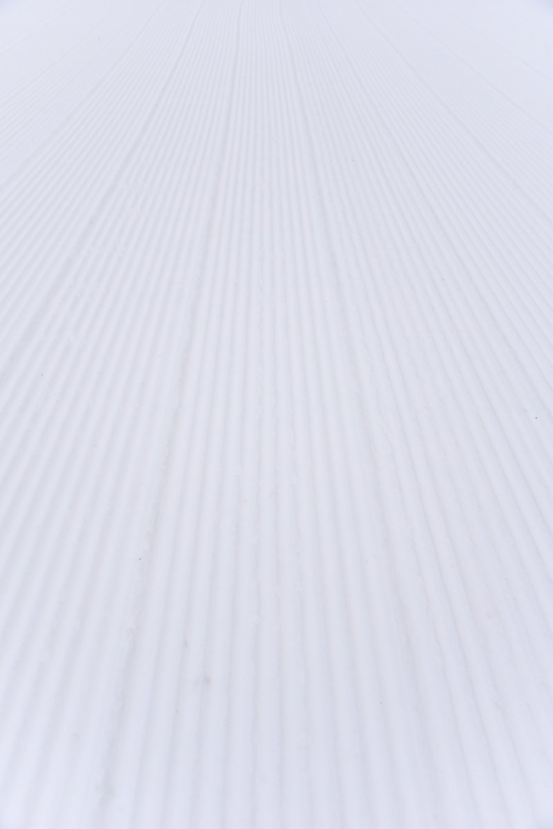 SugarloafMaine's tweet photo. The best kind of carpet. #theloaf #corduroy https://t.co/vspY8r3tAg