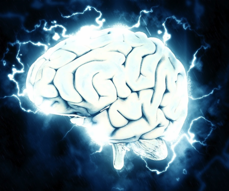RedBirdPilates's tweet photo. Neuroscience of Movement Workshop at RedBird in 2018  https://t.co/0e6oElq2Uq https://t.co/hmmsijvZzI