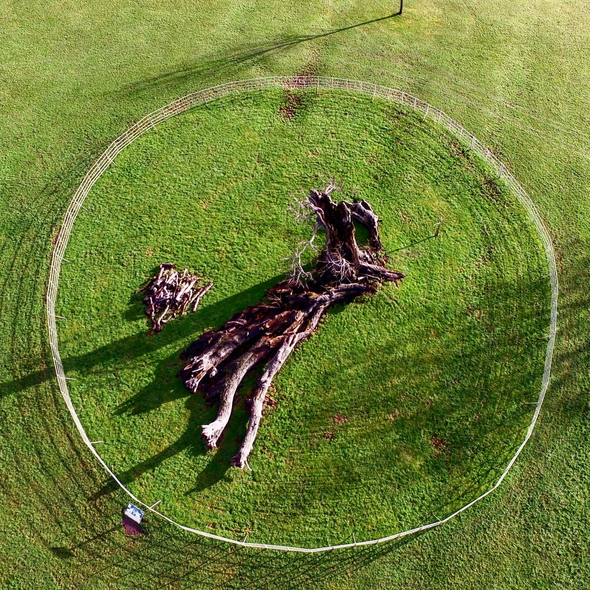 DarterDrones's tweet photo. Today we flew around a very special tree in Lydiard Park,  Swindon

#dronestagram #lydiardpark #Walnut #veterantree #ancienttree #swindon #history #darterdrones #drones @LydiardPark https://t.co/IEISrwuZAl