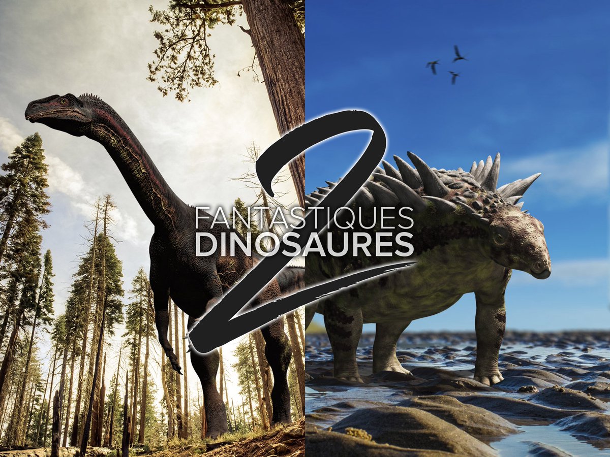 oreakids's tweet photo. L'application Fantastiques Dinosaures 2 est disponible sur l'appstore dès maintenant ! https://t.co/xm1SO2BNXy https://t.co/swJpwcxkIq