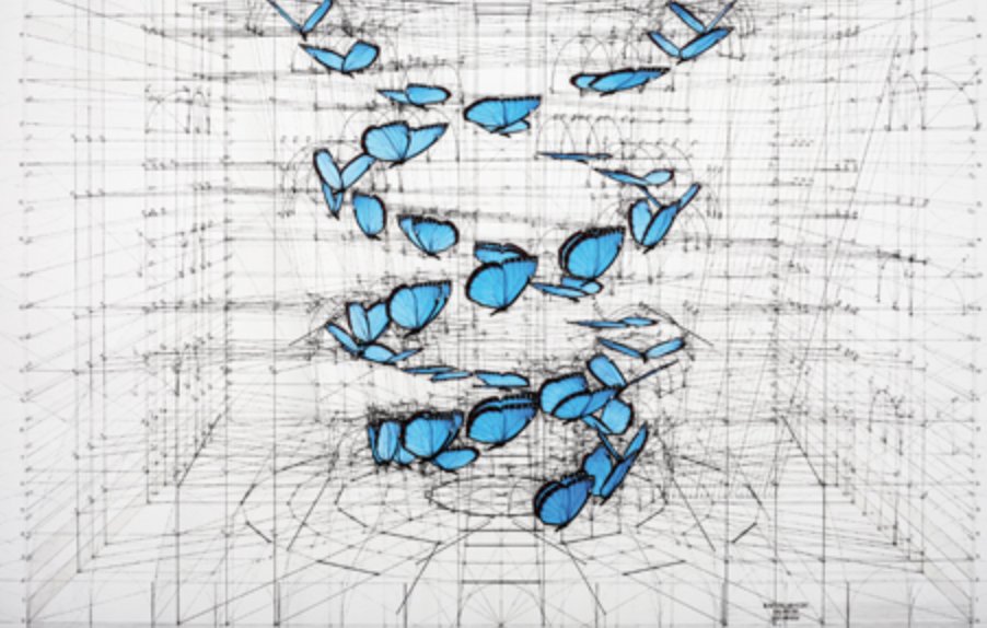 _ICMAT's tweet photo. No te pierdas la #exposición 'La #geometría en la naturaleza. El número áureo phi', una muestra que une la zoología, las #matemáticas y el arte. Inauguración HOY a las 19h y hasta el 31 de marzo de 2018 en el Museo Nacional de Ciencias Naturales
https://t.co/CiwO7Il0A4 https://t.co/JLF5C3raNA