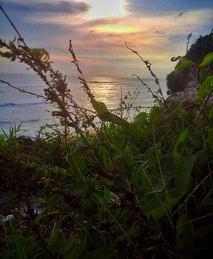 MYantiara's tweet photo. Buona Sera da Bali
#melastibeach  #bali #beach #beachview #beachvibes #sunsets  #sea #mare #spiaggia #isola #bellaisola #tramonto  #explorebeach #explorebali #nature #landscape https://t.co/76O5DpSCv3