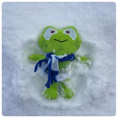 MomcatKelly's tweet image. #whereishopkins #snowday ❄️🐸
Photo Credit: ASLReady
