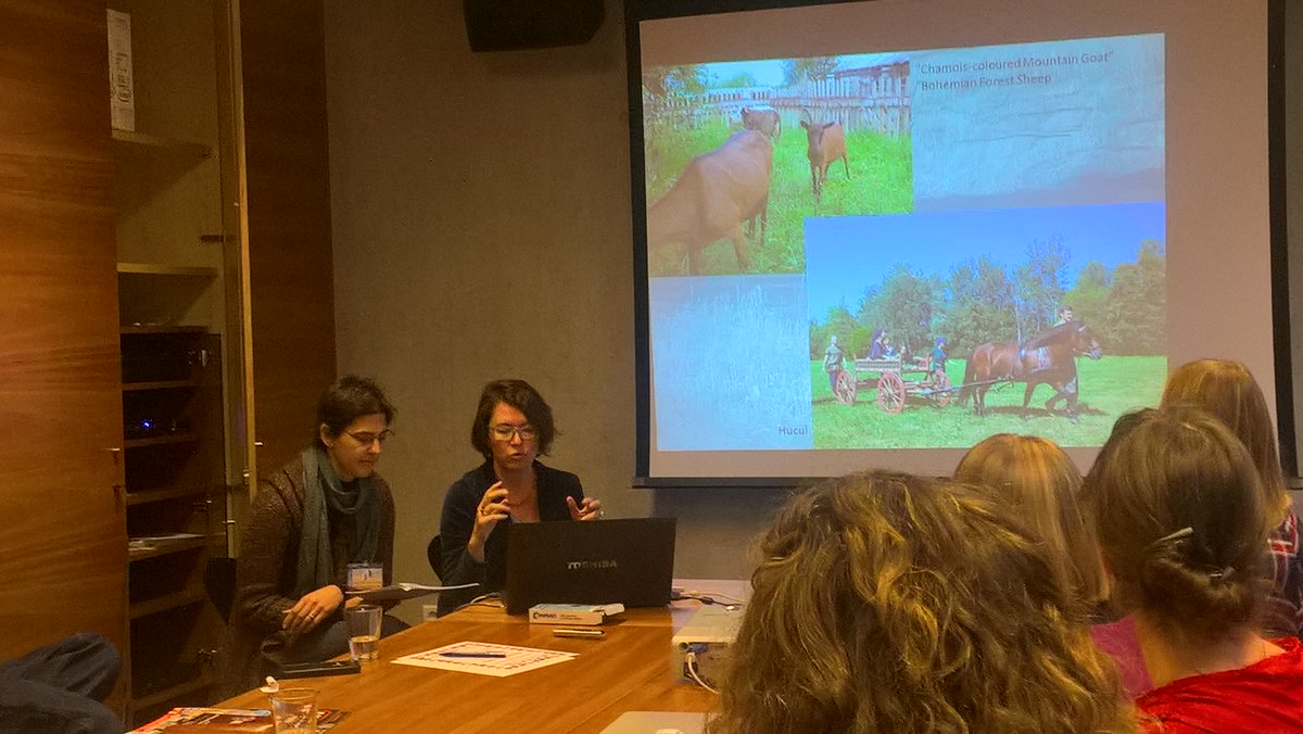 IMTALEurope's tweet photo. Celtic open air museum Mitterkirchen's living history Visitor survey shows a gender difference: "men enjoy, women learn" #Imtal conference https://t.co/fRKuRodv05