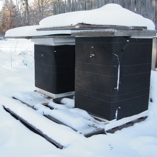 I was prepare few hives in this way to test how they get from winter. The result I will post after the winter. Hope I can lean more