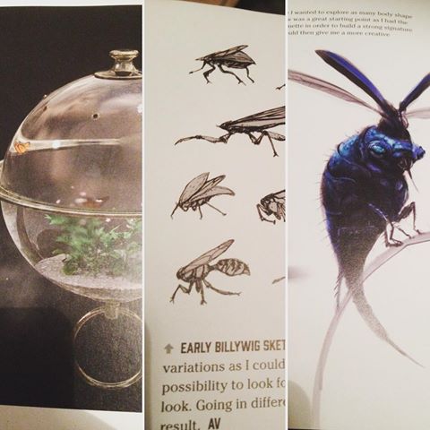 _Magizoology_'s tweet photo. The Billywig
M.O.M CLASSIFICATION: XXX
The Billywig is an  insect native to Australia. It is around half an inch long and a vivid sapphire blue, although its speed is such that it is rarely noticed by Muggles and often not by wizards until they have been stung. #FantasticBeasts https://t.co/hr9GCvxHDd