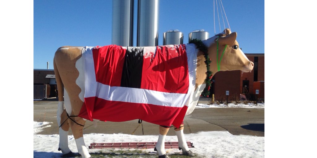 Even the cows get into the holiday spirit in #Wisconsin! #LifewayKefir #SantaCow #MooyChristmas #Waukesha