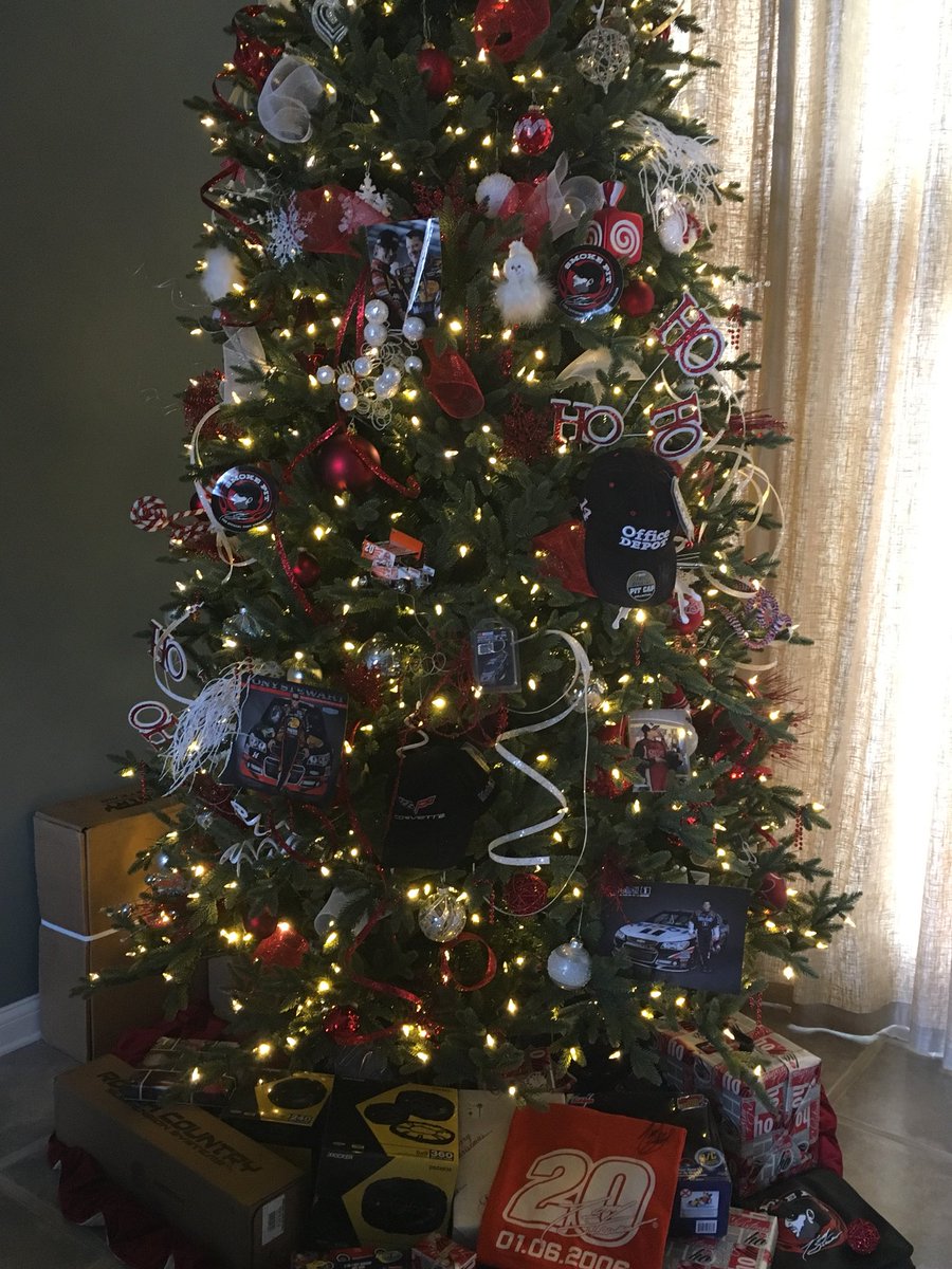 BscottBen's tweet photo. @TSRStore What do you think I could use on the rest of Tree https://t.co/dlxYeeZxuU
