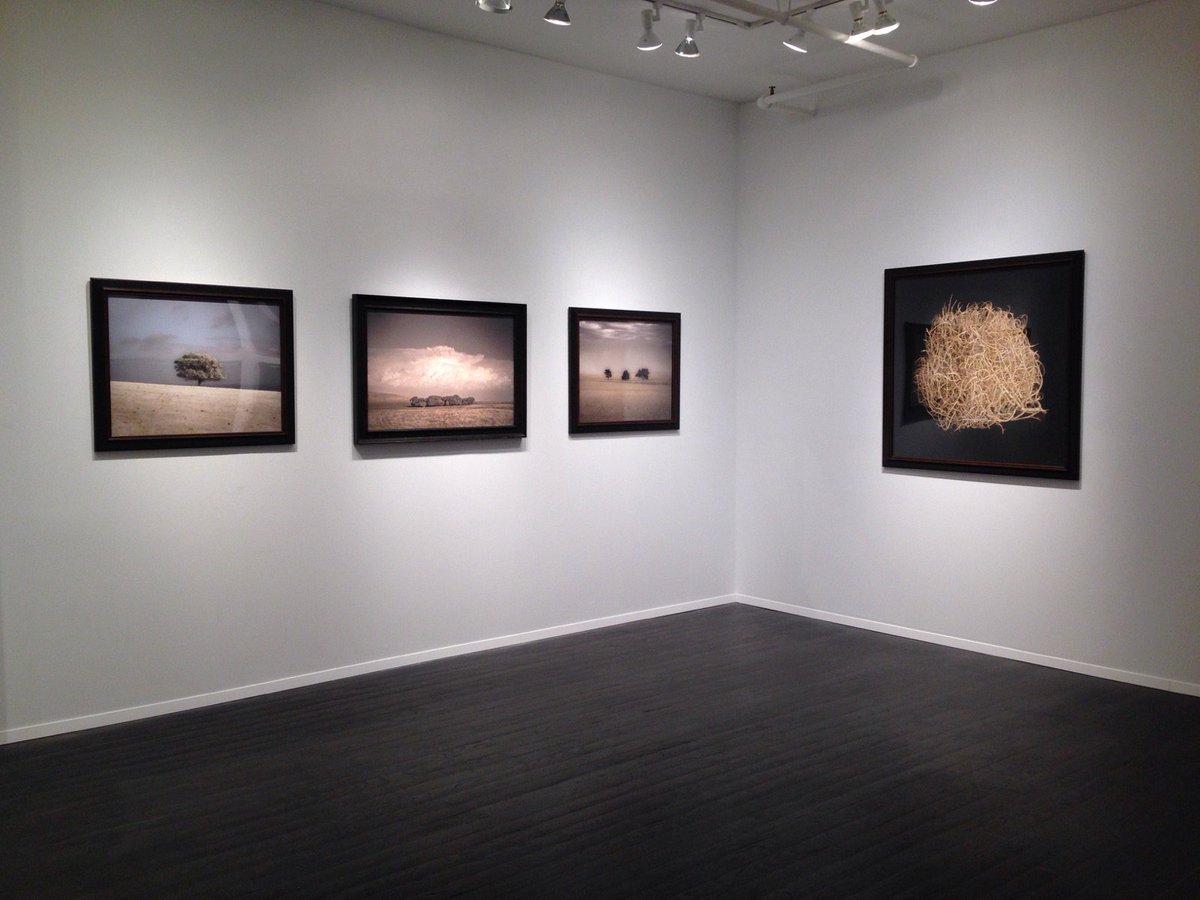 Littlejohn_Arts's tweet photo. Our exhibition of #handcolored #photographs by #KateBreakey has been extended til January 13th! https://t.co/p9YfSbcR1f