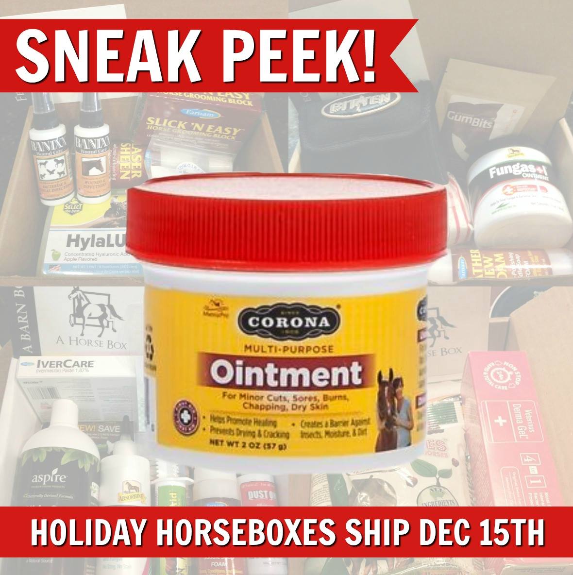 Find <a href="/MannaProHorse/">Manna Pro Horse</a> Corona® Ointment in your December HorseBox! For over 100 years, Corona Ointment has been protecting skin and helping to promote the natural healing of minor cuts, sores, burns, chapping, and dry skin.