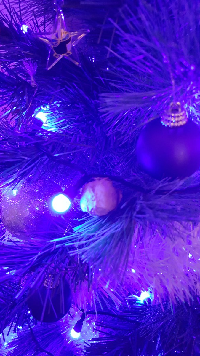 C_J_Smith's tweet photo. Another festive tradition: this sprout has been a tree decoration for the last four years. #everyonedoesthis #thisisnormalright https://t.co/4dnGhOR4SV