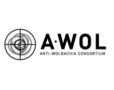 LSTM (@lstmnews) on Twitter photo #LSTM based <a href="/AWOL_Wolbachia/">Anti Wolbachia</a> consortium celebrates 10 year milestone with many research 'firsts' including TylAMac™, which has just begun its first clinical trials in humans bit.ly/2jUH9qS #NTDs #LSTM based <a href="/AWOL_Wolbachia/">Anti Wolbachia</a> consortium celebrates 10 year milestone with many research 'firsts' including TylAMac™, which has just begun its first clinical trials in humans bit.ly/2jUH9qS #NTDs