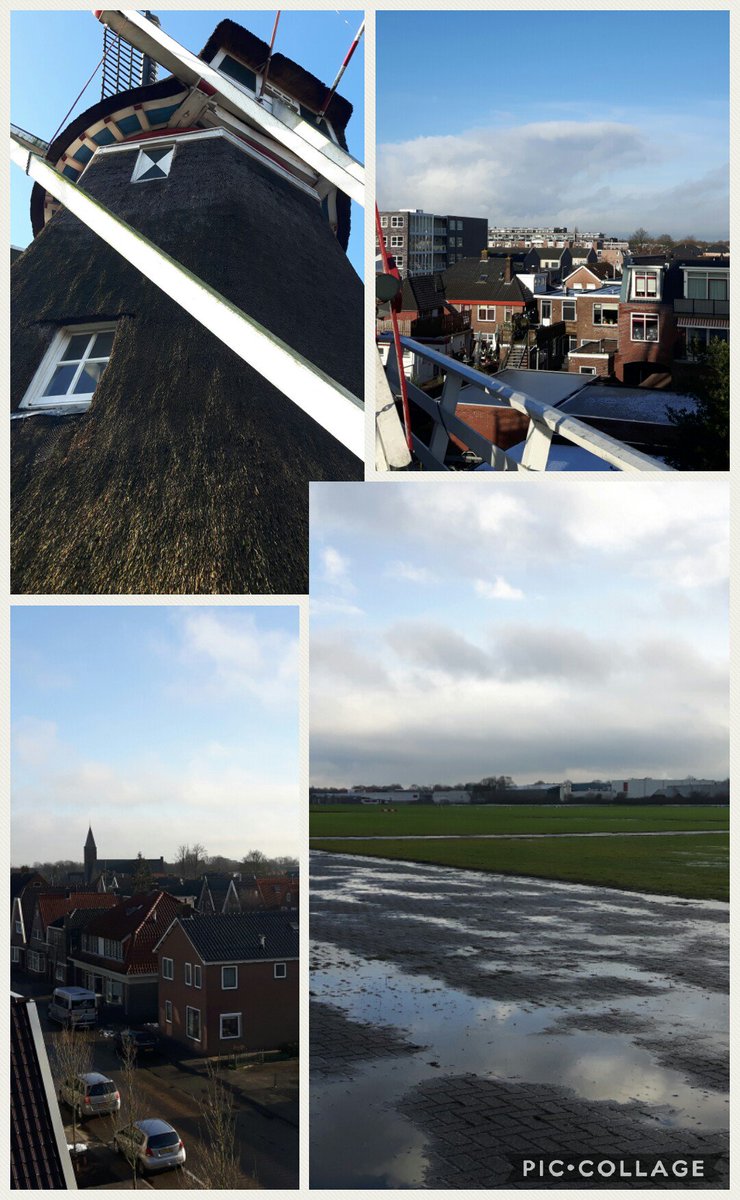 Ellen Ruiter tweet media