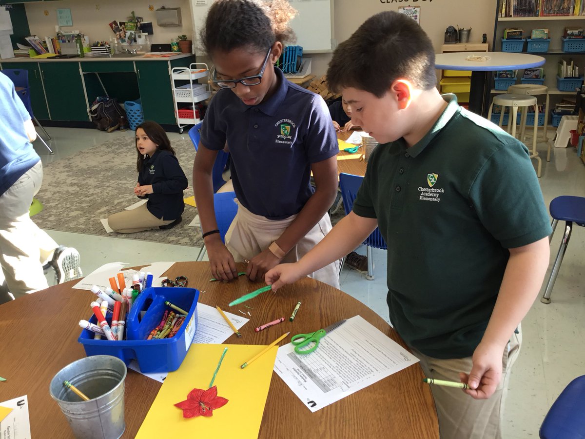 CBAWestChester's tweet image. Determining random variation of traits #stemscopes #randomvariation