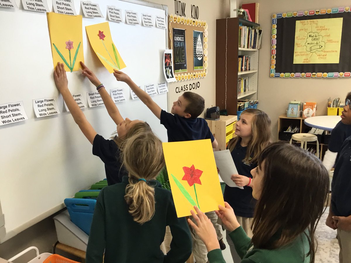 CBAWestChester's tweet image. Determining random variation of traits #stemscopes #randomvariation