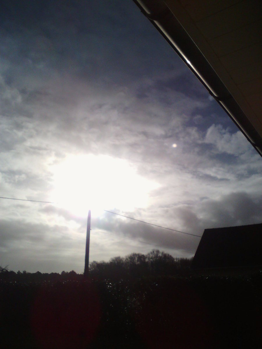 DModel3's tweet image. 