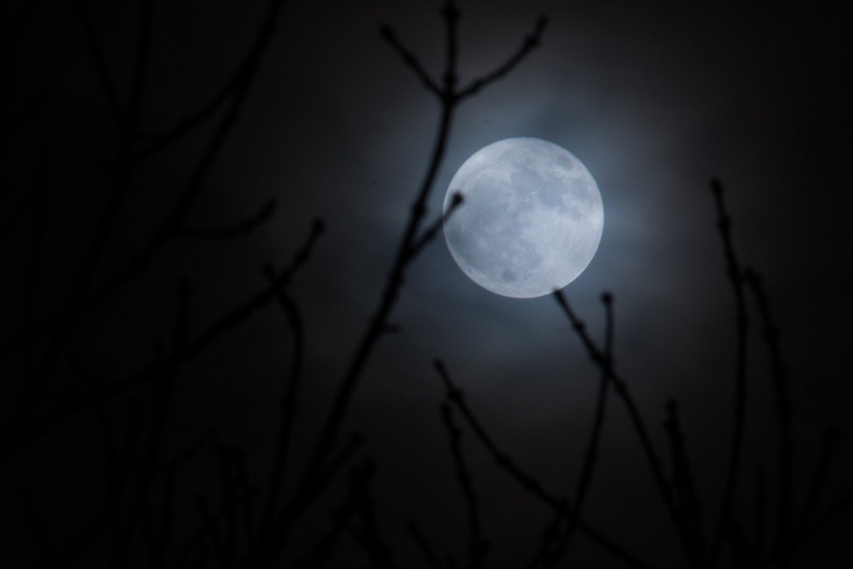 CIFI140CHILE's tweet photo. El asombro al ver la #luna fue generalizado. Nunca imaginaron que la #réplica sería igual a la que fue #robada a sus #ancestros.
#CIFI140 #Cifituits #microcuentos #CienciaFicción #microcuento #MicroCiFi https://t.co/yqQIFhb4G0