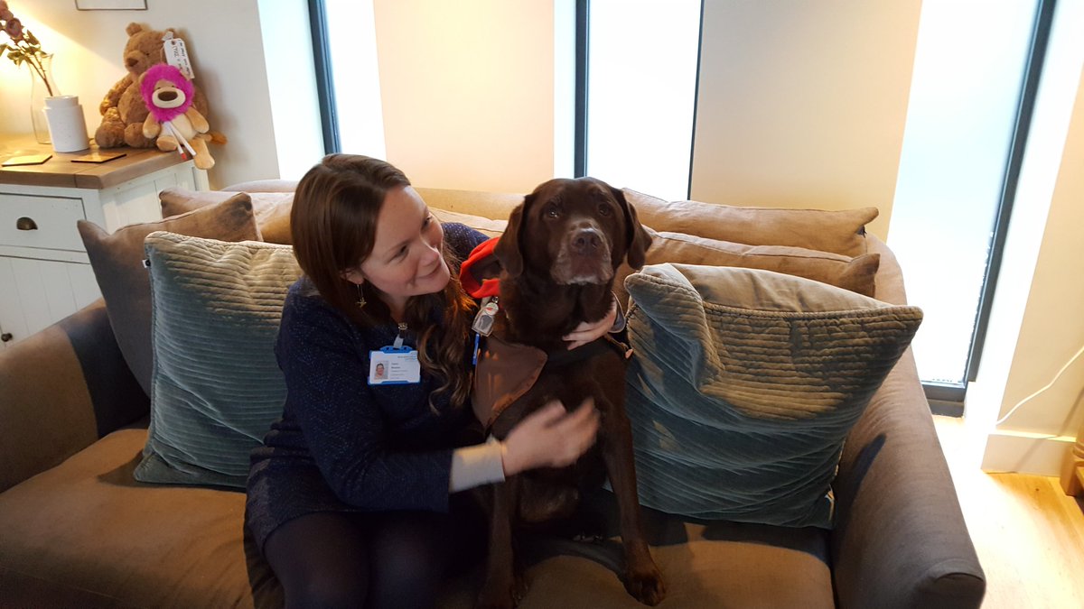 Today @DianeMaybey is ecstatic. We welcomed <a href="/twixkearney/">Twix Kearney</a> and Nigel into <a href="/Magnolia_BCH/">MagnoliaHouse</a> .