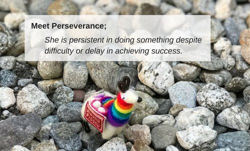 afreshchapter's tweet photo. Reconnecting With #Perseverance in #Peru. Read more about @terriwingham story on how she was reignited with passion to do more – both for our participants and the volunteer projects we serve. https://t.co/IVJLY39VnD https://t.co/zlzdM8eIJW