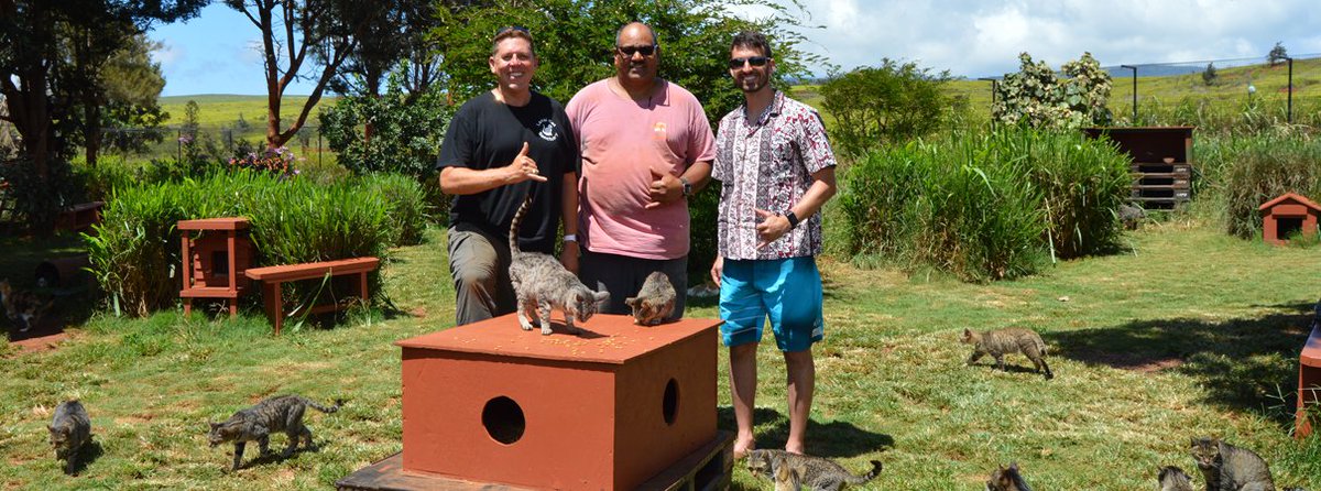 ABCbirds's tweet photo. New on our blog: Hawai‘i's @LanaiCats sanctuary helps protect endangered birds too. https://t.co/ykaZAnMdrB @SafeCatSafeBird #safecatsafebird https://t.co/ypVihWvvke