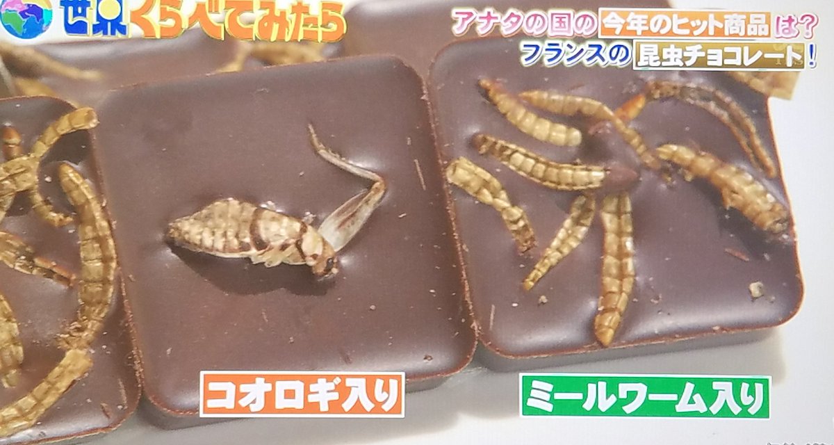 うーたん ジェシー 虫のチョコ食べた 笑 虫の食感が良いらしい 笑 世界くらべてみたら せかくら Sixtones ジェシー スト担