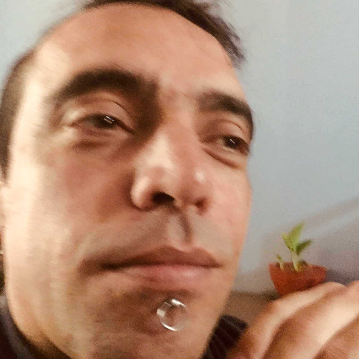 follydead's tweet photo. @Vorterix  https://t.co/jQPu1FE5Fa