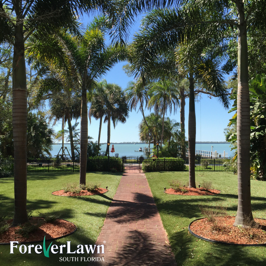ForeverLawnSFL's tweet photo. When a water view doesn't mean watching the sprinklers. A low-maintenance lawn means you spend less time working on the yard, and more time enjoying the view. #SouthFlorida #ForeverLawn #yardenvy https://t.co/tg3uxTzszI