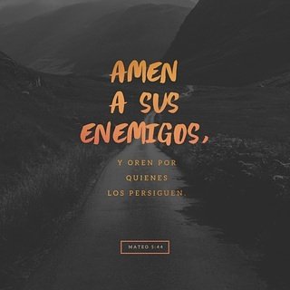 CALeondeJuda's tweet photo. Pero yo les digo: Amen a sus enemigos y oren por quienes los persiguen,
Mateo 5:44 NVI

#VersiculoDelDía #CALeónDeJudá https://t.co/Q1txe6Jz7d