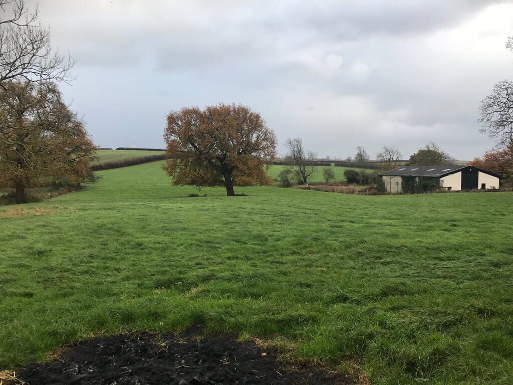 Sovereign_Build's tweet photo. Lovely views from our new development at Minskip. https://t.co/CeozX8mX4t