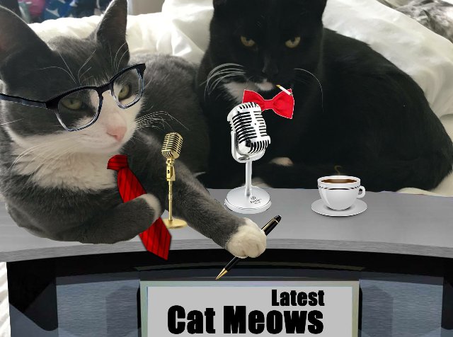 Check out our Facebook page where we now proudly present the founders of #storytourist