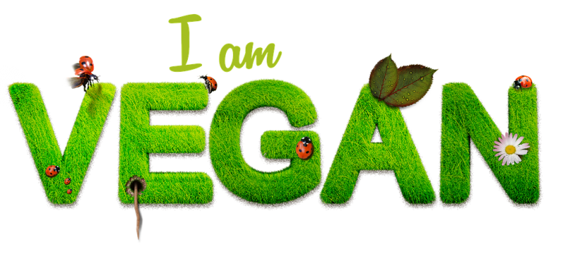 Stretch and Stride tweet media