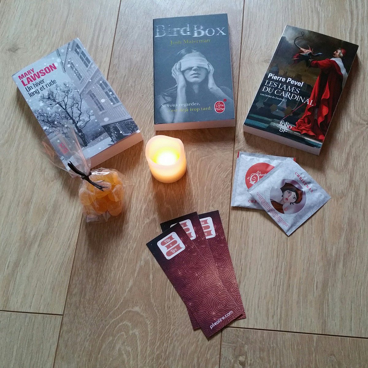 PileLire's tweet photo. En décembre dans la box : "Un hiver long et rude" de Lawson, "Les lames du cardinal" de Pierre Pevel et "Bird Box" de Malerman. Merci @Eliotetdeslivre pour cette sélection ♥ https://t.co/lmty8zysUO
