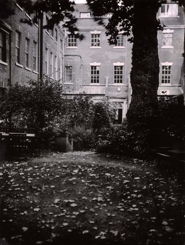 LeftLion's tweet photo. photo: James Grainger #nottingham #inthenightgarden #secretgarden #leaves  #yard #nicegaff https://t.co/Hb5ZauYGh9