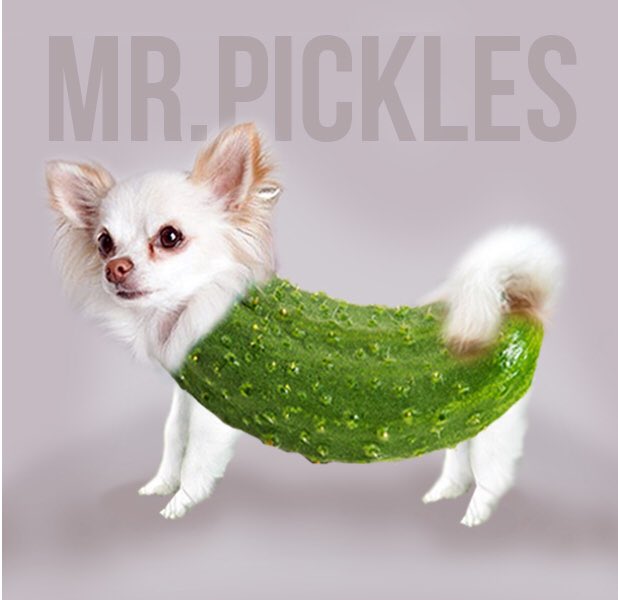 thepiff's tweet photo. 1 in 20 #PiffPack fans still ask where Mr.Pickles is... #itsmrpifflesnotmrpickles #mrpiffles #piffthemagicdragon #comedy https://t.co/H4Q46r4vSx