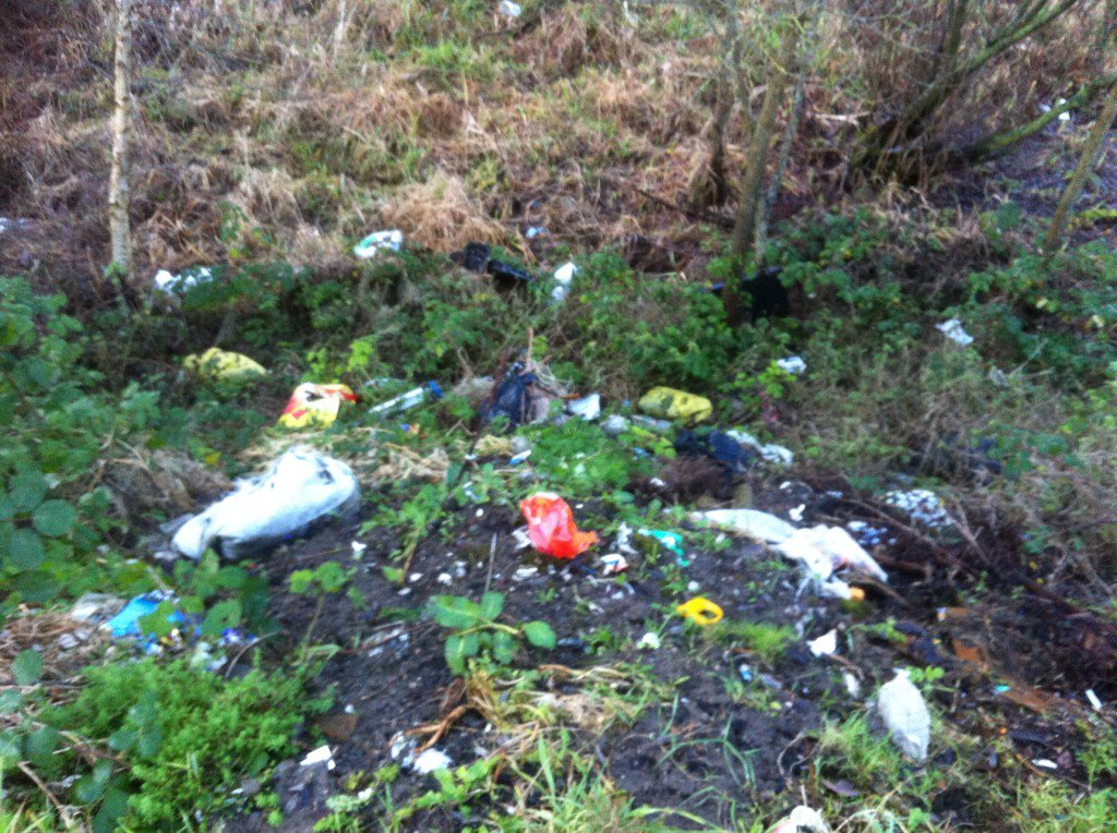 lucyglen1's tweet photo. #newparkfenlandfill @KKPeopleNews https://t.co/RSx9RDad3T
