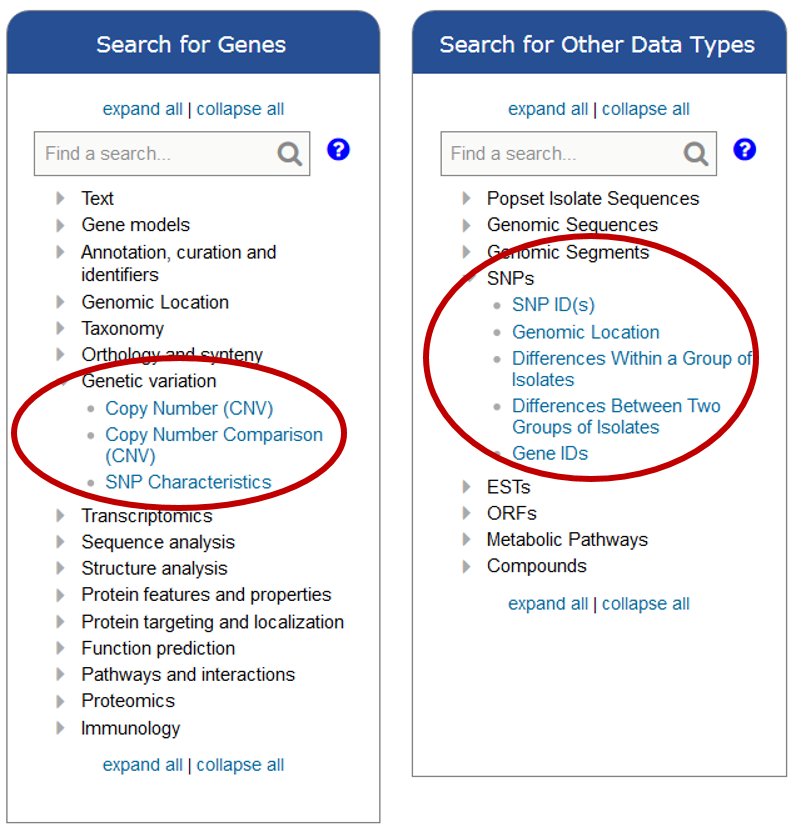 veupathdb's tweet image. New data in #CryptoDB 35:  Whole genome sequencing of 4 Cryptosporidium  hominis subtypes.  Check out copy number variation and SNPs for C. hominis_33537_CO, C. hominis_30974_SC, C. hominis_30976_MO, C. hominis_37999_ID