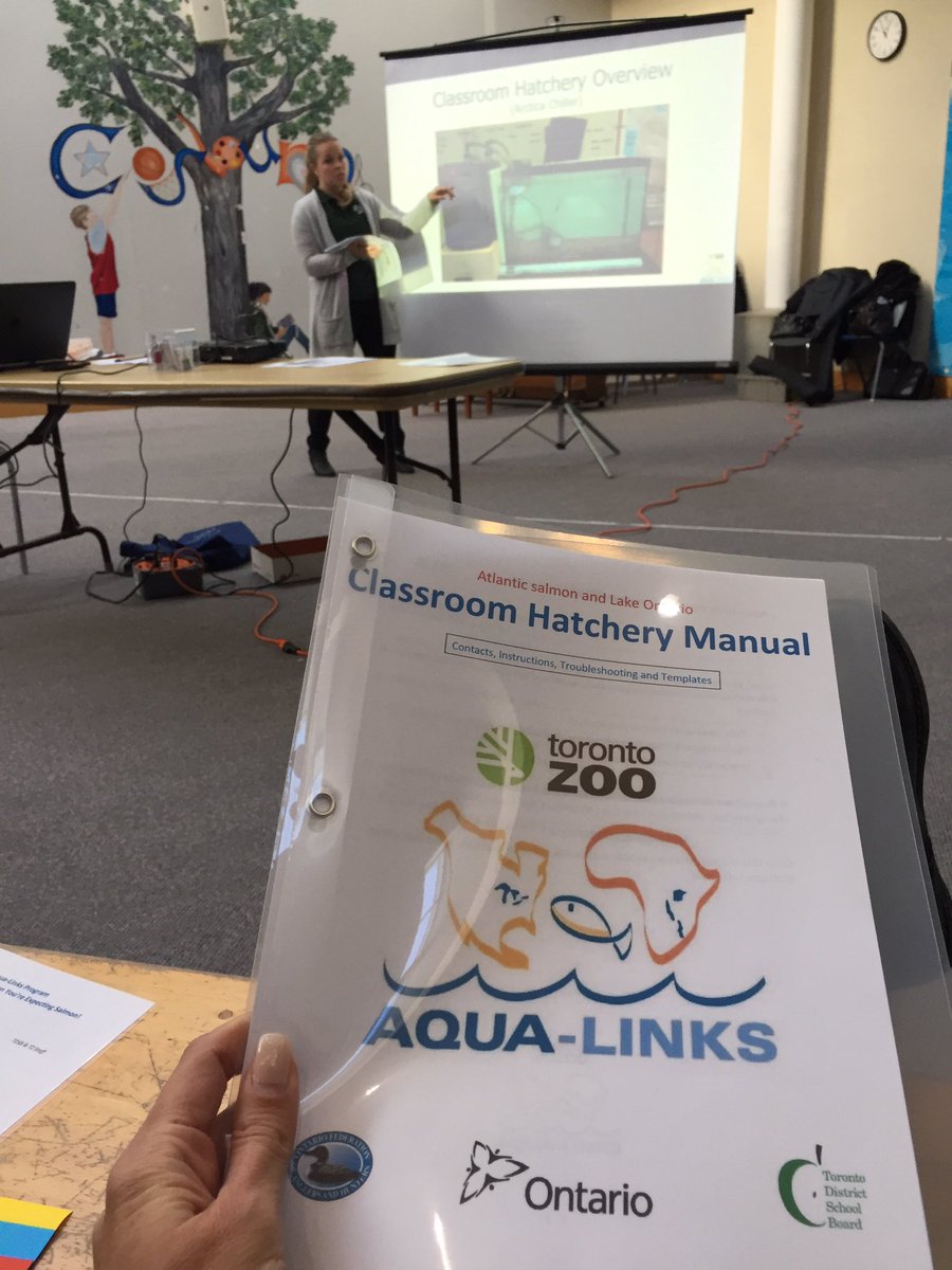 mswadia's tweet photo. My Ss &amp; I @AgnesMacphailPS are thrilled to be a part of the @TDSBScitechkits @TDSB_STEM @TheTorontoZoo Salmon Hatchery Program! #AquaLinks @LC3_TDSB @tdsb #GreatLakesAtlanticSalmon #conservation #stewardship https://t.co/tEEEmp7Sjb