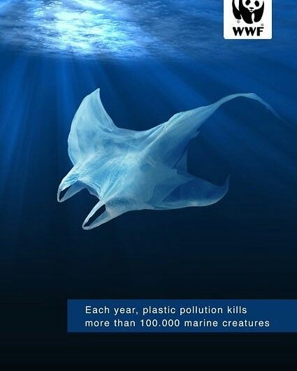n_greenparty's tweet photo. "It is a curious situation that the sea, from which life first arose, should now be threatened by the activities of one form of that life.
#saveocean  #SaveWater  #savelife  #SaveThePlanet  #ngp  #nationalgreenparty https://t.co/zeN0KPyevt