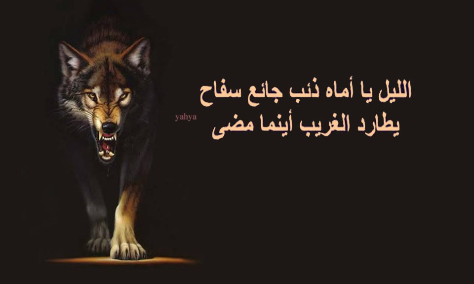 يحيى الحسيني tweet media
