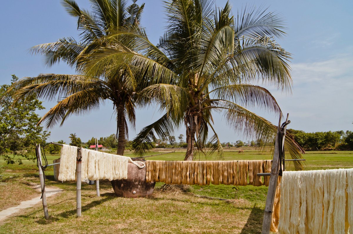 AmalaCarpets's tweet photo. Winter has arrived in Toronto and it makes us think about being at our facilities in Thailand, waiting for raw silk to dry in the sun after being washed 🌴🌞 #tbt https://t.co/cAWDxZxO07