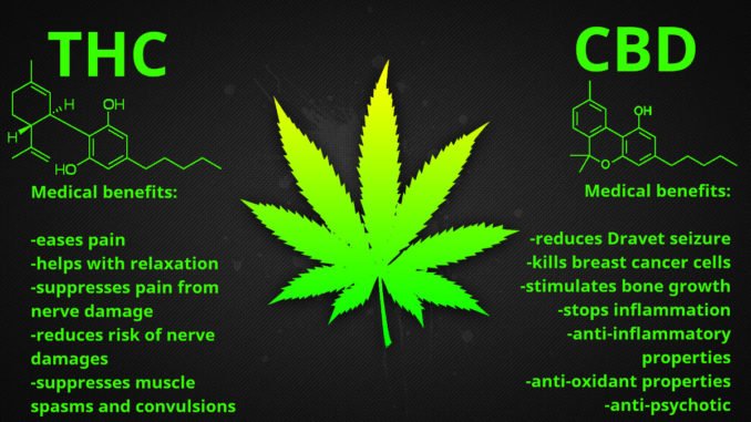 cbdbenefits's tweet photo. https://t.co/1R9rUwUypj