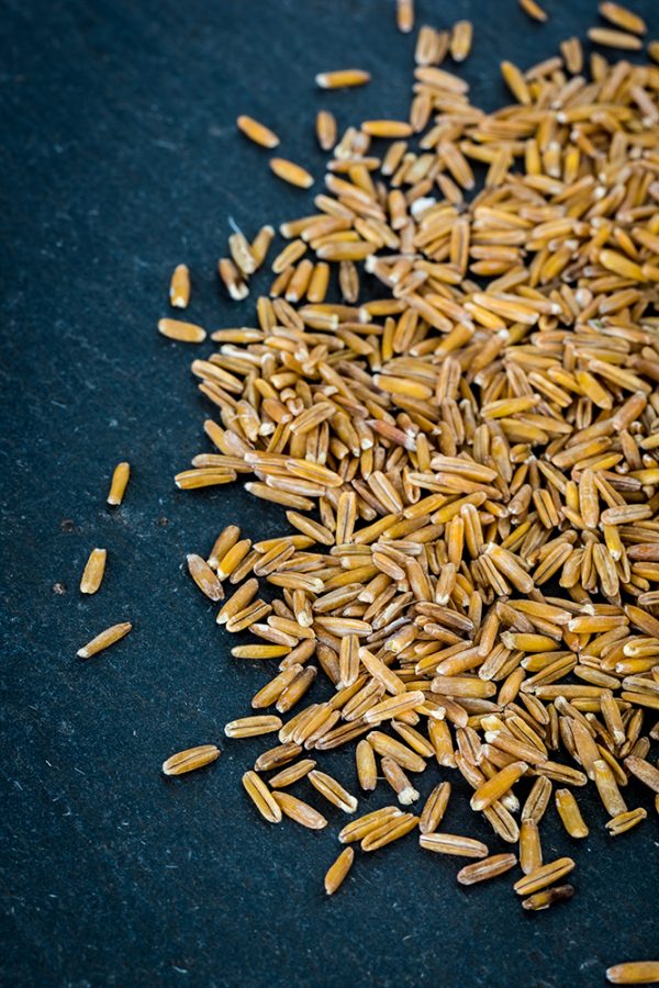 Is the sustainable kernza grain the next big thing? Hopworks Urban Brewery certainly thinks so. Swing by the brewery this weekend for a taste of its Long Root Ale. edibleportland.com/toasting-hopwo…