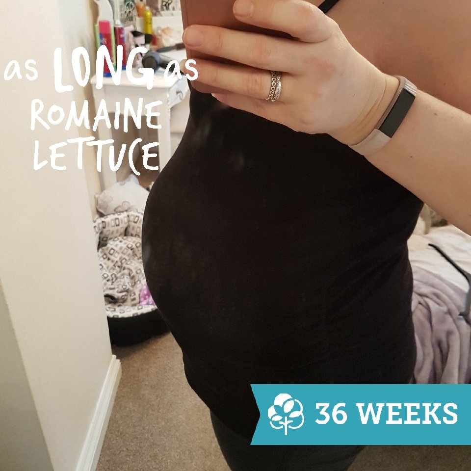 nickistar86's tweet photo. #36weekspregnant feeling like a hippo! Bumps defo lower I think! #pregnant #babybelly #babygirl #swpregnancy #healthypregnancy #bumpie https://t.co/HtqrY2cISX