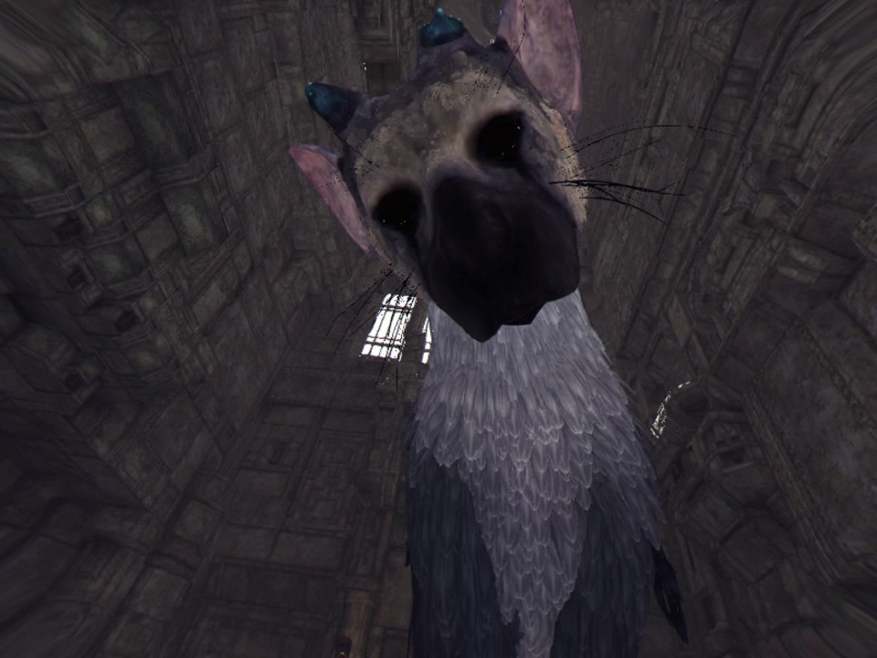 人喰いの大鷲トリコ Vr 上質なvr体験に絶賛の嵐 本編のvr化に期待 動画 Vr Rendez Vous