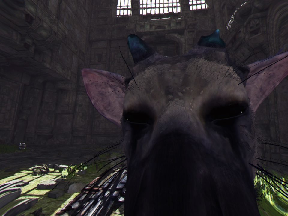 人喰いの大鷲トリコ Vr 上質なvr体験に絶賛の嵐 本編のvr化に期待 動画 Vr Rendez Vous