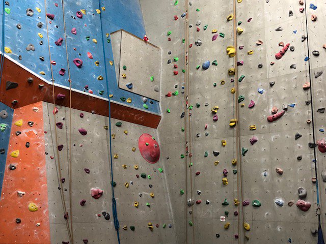 🎄🎅 Spot the elf! Can you see George the Elf in this picture?

George is at <a href="/climb_showroom/">Showroom Climbing</a>, testing out the routes ready for our Night Climb Before Christmas next Friday (22nd Dec). Join us for a fun-filled evening of climbing.

👉 facebook.com/events/1849490…

#elfontheshelf